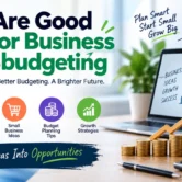 what are good ideas for business aggr8budgeting